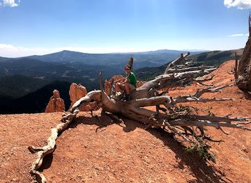 utah/cedar-breaks-national-monument/restaurant/costa-vida