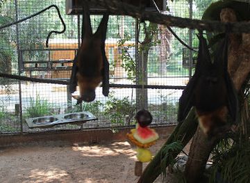 israel/ramat-gan/restaurant/masaadt-hsphry