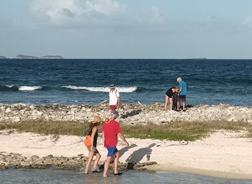 saint-vincent-and-the-grenadines/union-island/restaurant/thompson-island-bar-and-grill