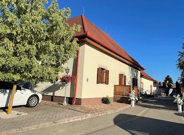 hungary/szabolcs-szatmar-bereg/restaurant/toros-etterem-es-csarda