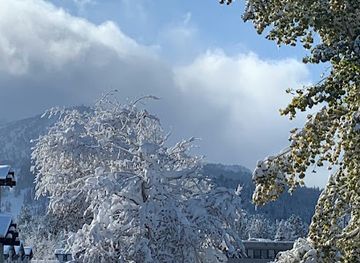 california/mammoth-lakes/restaurant/noodle-ly