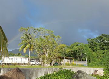 dominica/emerald-pool/restaurant/purple-turtle-beach-club