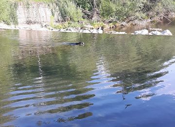 slovenia/kamnik/restaurant/sodexho-prehrana-in-storitve-d-o-o-ljubljana