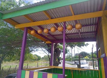 jamaica/treasure-beach/restaurant/v-j-authentic-cuisine