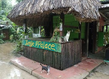 mexico/lacandon-jungle/restaurant/jungle-palace