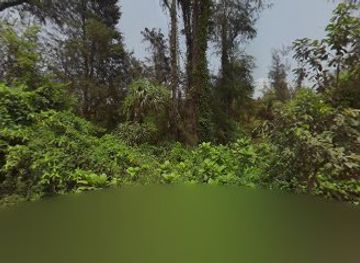 india/konkan-coast/restaurant/sea-point