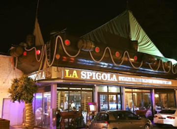 tunisia/the-cap-bon-peninsula/restaurant/la-spigola