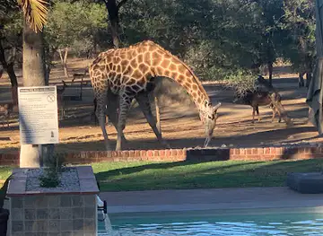 Otjibamba Lodge