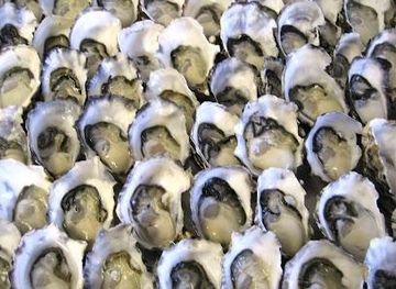 australia/hobart/restaurant/get-shucked