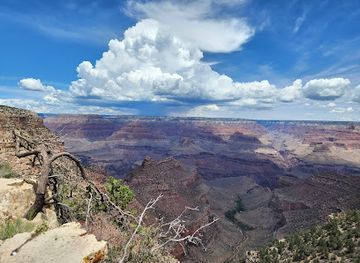arizona/grand-canyon/restaurant/harvey-house-cafe