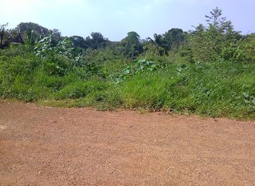 jamaica/cockpit-country/restaurant/miss-lilly-s-bar-and-shop
