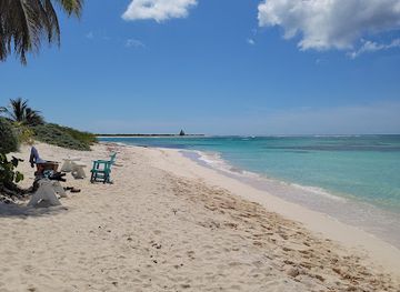 british-virgin-islands/anegada-beaches/restaurant/cow-wreck