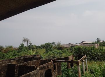 nigeria/ijaw/restaurant/lady-d-resturant