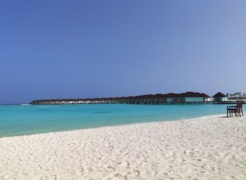 maldives/guraidhoo-island/restaurant/malaafaiy-restaurant