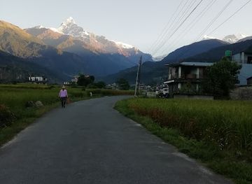 nepal/manaslu-circuit/restaurant/naanglo-kitchen-and-restaurant