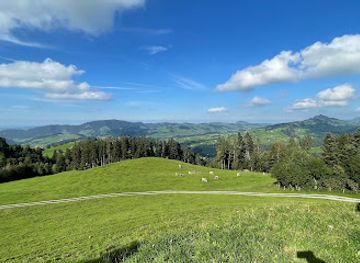 switzerland/eastern-switzerland/restaurant/wald