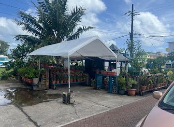 palau/ngatpang/restaurant/ate-tess-food-wagon