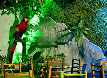 colombia/amazon/restaurant/restaurante-tematico-araza