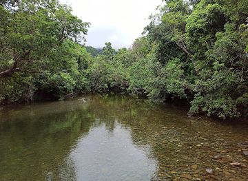 australia/cape-tribulation/restaurant/dubuji-boardwalk