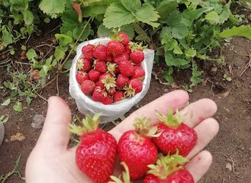 uzbekistan/navoiy-region/restaurant/shef