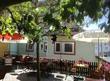 germany/spessart/restaurant/zur-traube