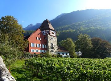 liechtenstein/vaduz-region/restaurant/cellars-of-the-prince-of-liechtenstein