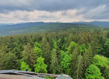 germany/bavarian-forest-national-park/restaurant/baumwipfelpfad-bavarian-forest