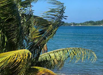 jamaica/port-antonio-area/restaurant/fusion-bites