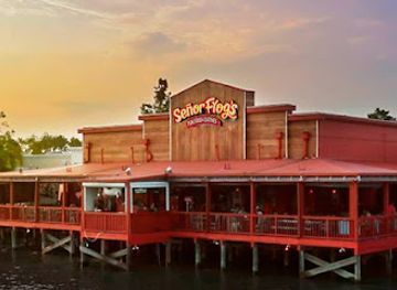 south-carolina/myrtle-beach/broadway-at-the-beach/restaurant/senor-frog-s-myrtle-beach