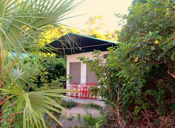 tanzania/selous-game-reserve/restaurant/selous-tented-camp