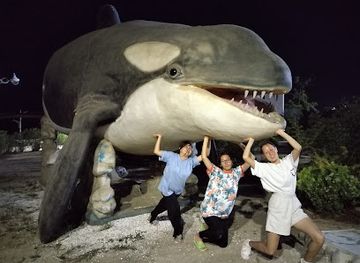 turkmenistan/balkan-region/restaurant/altyn-zaman