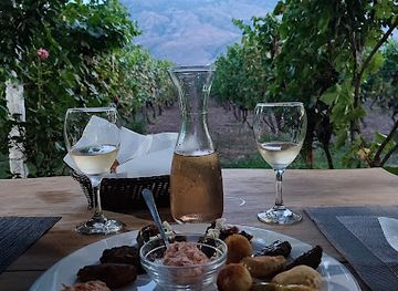 albania/toskeria/restaurant/the-barrels-ms-te-fucite