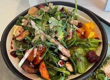 colorado/colorado-springs/restaurant/opus-creative-kitchen