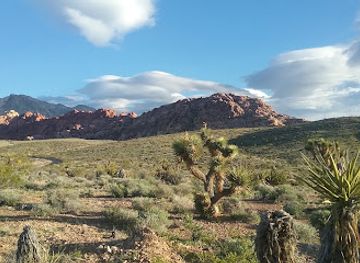 nevada/red-rock-canyon-national-conservation-area/restaurant/red-rock-canyon-nca-scenic-drive-bureau-of-land-management