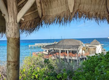 maldives/shaviyani-atoll/restaurant/hashi