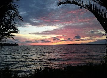 cameroon/coastal-region/restaurant/les-mangroves