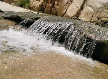 jordan/ma-an/restaurant/mat'am-alsaudi