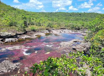 colombia/cano-cristales/restaurant/cano-piedras
