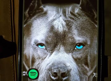 guyana/new-amsterdam/restaurant/subah-daughters-delight-catering-service