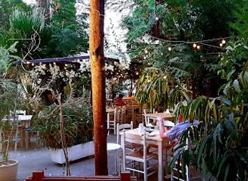 cyprus/larnaca/restaurant/ithaki-garden-restaurant