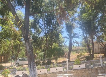 algeria/ouarsenis-mountains/restaurant/restaurant