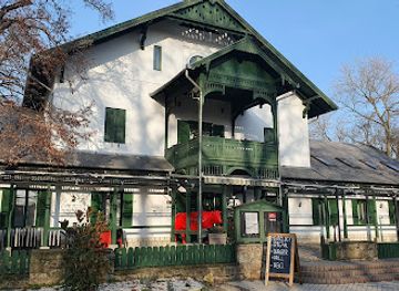 hungary/nyiregyhaza/restaurant/meatology-svajci-lak-nyiregyhaza