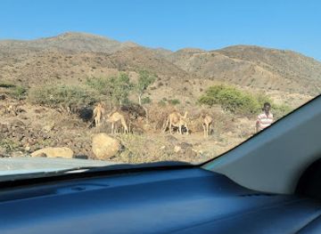 djibouti/arta/restaurant/restaurant-randa