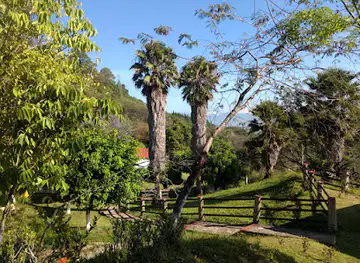 Parador Turístico Selva Maya