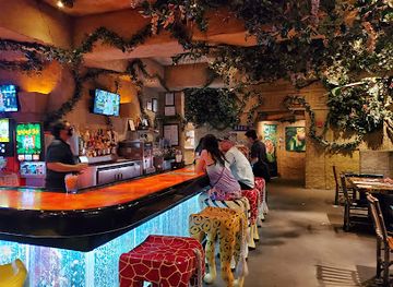 texas/galveston/restaurant/rainforest-cafe