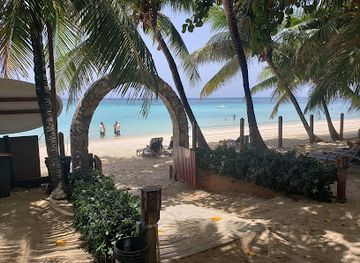 honduras/cayos-cochinos/restaurant/vintage-pearl-restaurant