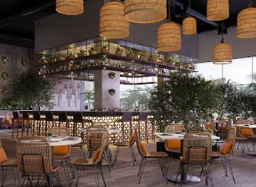 florida/sarasota/restaurant/beso