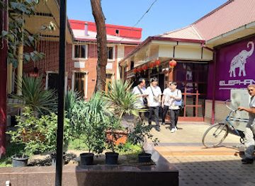 uzbekistan/tashkent-region/restaurant/elephant