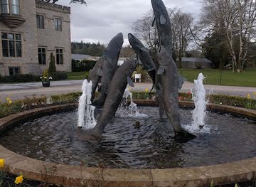 ireland/slieve-league/restaurant/cedars-restaurant