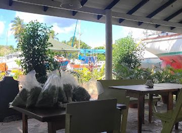 grenada/hillsborough/restaurant/las-iguanas